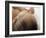 Baby Hair-Ian Boddy-Framed Photographic Print