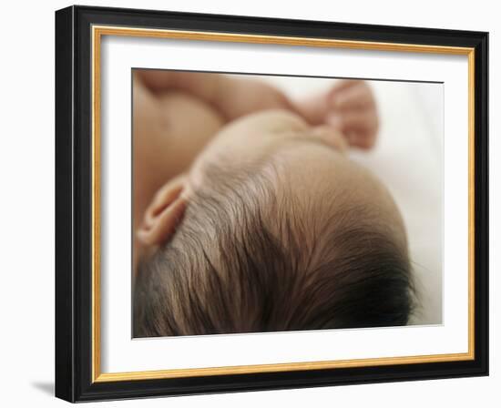 Baby Hair-Ian Boddy-Framed Photographic Print