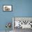 Baby Hedgehog (Erinaceous Europaeus) and Guinea Pig (Cavia Porcellus)-Mark Taylor-Framed Premier Image Canvas displayed on a wall