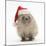 Baby Hedgehog (Erinaceus Europaeus) Wearing a Father Christmas Hat-Mark Taylor-Mounted Photographic Print