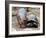 Baby Hippo Walks Along with its 'Mother', a Giant Male Aldabran Tortoise, at Mombasa Haller Park-null-Framed Photographic Print