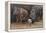 Baby Hippos-Peter Blackwell-Framed Stretched Canvas