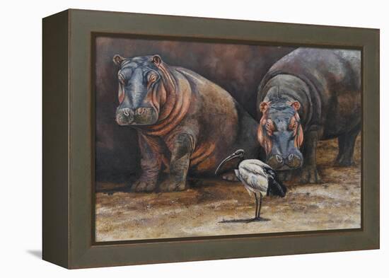 Baby Hippos-Peter Blackwell-Framed Stretched Canvas