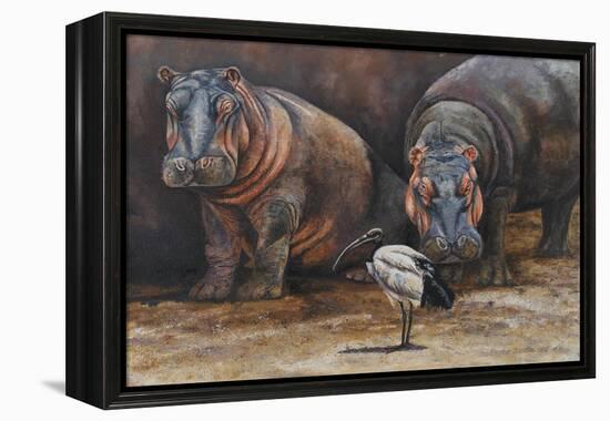Baby Hippos-Peter Blackwell-Framed Stretched Canvas