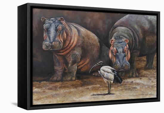 Baby Hippos-Peter Blackwell-Framed Stretched Canvas