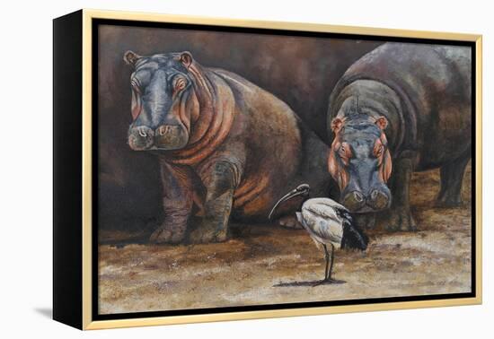 Baby Hippos-Peter Blackwell-Framed Stretched Canvas