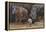 Baby Hippos-Peter Blackwell-Framed Stretched Canvas