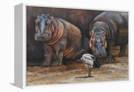 Baby Hippos-Peter Blackwell-Framed Stretched Canvas