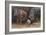 Baby Hippos-Peter Blackwell-Framed Art Print