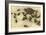 Baby Horned Toads-null-Framed Art Print