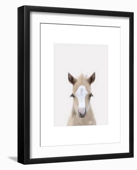 Baby Horse 1-Leah Straatsma-Framed Art Print