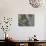 Baby Hummingbird in nest.-Zandria Muench Beraldo-Photographic Print displayed on a wall