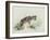 Baby Hyena, 1995-Odile Kidd-Framed Giclee Print