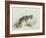 Baby Hyena, 1995-Odile Kidd-Framed Giclee Print