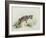 Baby Hyena, 1995-Odile Kidd-Framed Giclee Print