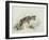 Baby Hyena, 1995-Odile Kidd-Framed Giclee Print