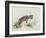 Baby Hyena, 1995-Odile Kidd-Framed Giclee Print