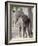 Baby Indian Elephant, Will be Trained to Carry Tourists, Bandhavgarh National Park, India-Tony Heald-Framed Photographic Print