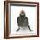 Baby Jackdaw (Corvus Monedula) Gaping to Be Fed-Mark Taylor-Framed Photographic Print