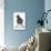 Baby Jackdaw (Corvus Monedula) with Feet Wide Apart-Mark Taylor-Photographic Print displayed on a wall