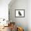 Baby Jackdaw (Corvus Monedula)-Mark Taylor-Framed Photographic Print displayed on a wall