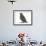 Baby Jackdaw (Corvus Monedula)-Mark Taylor-Framed Photographic Print displayed on a wall