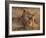 Baby Lion with Mother-Henry Jager-Framed Photographic Print