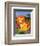 Baby Lion-Sophie Harding-Framed Art Print