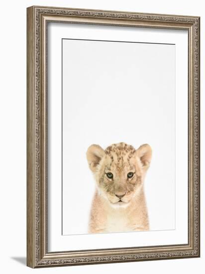 Baby Lion-Tai Prints-Framed Art Print