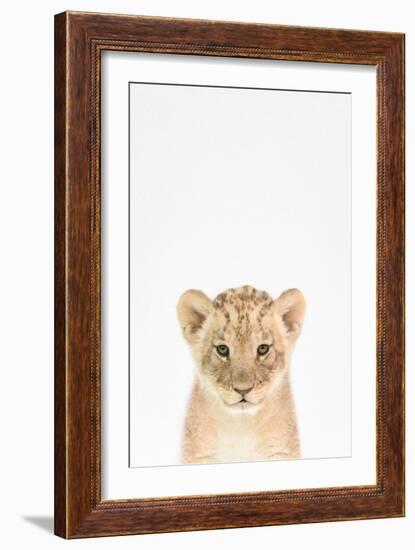 Baby Lion-Tai Prints-Framed Art Print