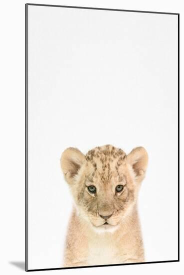 Baby Lion-Tai Prints-Mounted Art Print