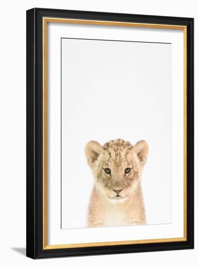 Baby Lion-Tai Prints-Framed Art Print