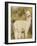 Baby Llama-Merrill Images-Framed Photographic Print