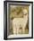 Baby Llama-Merrill Images-Framed Photographic Print