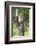 Baby Macaque Monkey, Coconut Plantation, Ko Samui, Thailand-Cindy Miller Hopkins-Framed Photographic Print