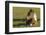 Baby Miniature horse paint colt-Maresa Pryor-Framed Photographic Print