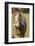 Baby Miniature horse paint colt-Maresa Pryor-Framed Photographic Print