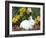 Baby Netherland Dwarf Rabbit, Amongst Daffodils, USA-Lynn M. Stone-Framed Photographic Print