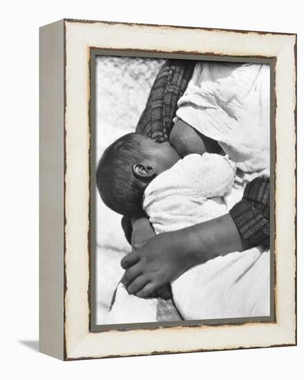 Baby Nursing (Conchita with Her Mother Luz Jimenez), Mexico City, 1926-Tina Modotti-Framed Premier Image Canvas