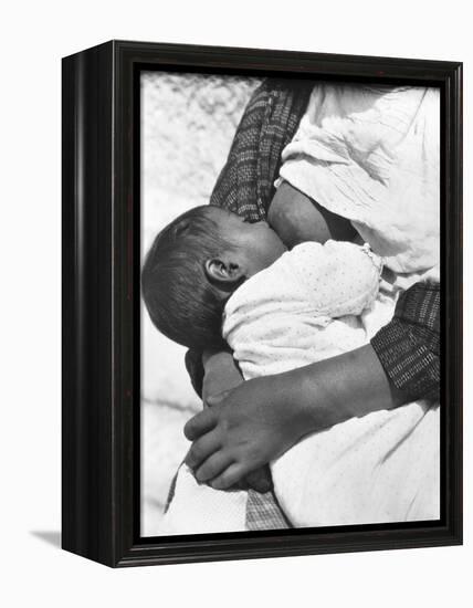 Baby Nursing (Conchita with Her Mother Luz Jimenez), Mexico City, 1926-Tina Modotti-Framed Premier Image Canvas