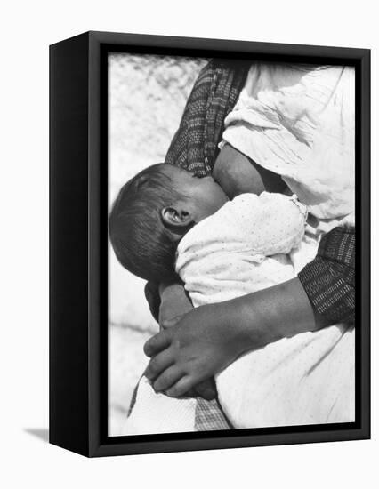 Baby Nursing (Conchita with Her Mother Luz Jimenez), Mexico City, 1926-Tina Modotti-Framed Premier Image Canvas