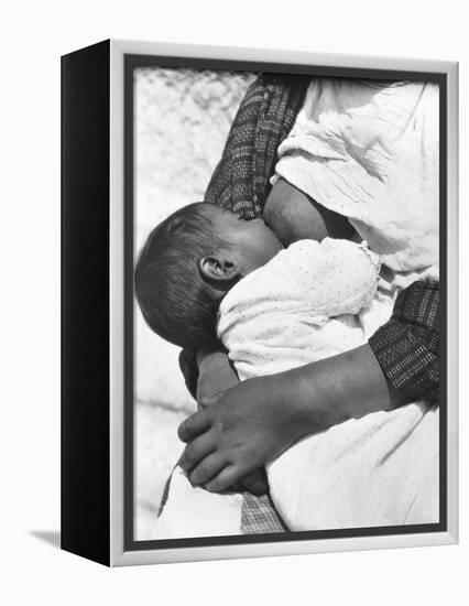 Baby Nursing (Conchita with Her Mother Luz Jimenez), Mexico City, 1926-Tina Modotti-Framed Premier Image Canvas