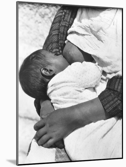 Baby Nursing (Conchita with Her Mother Luz Jimenez), Mexico City, 1926-Tina Modotti-Mounted Giclee Print