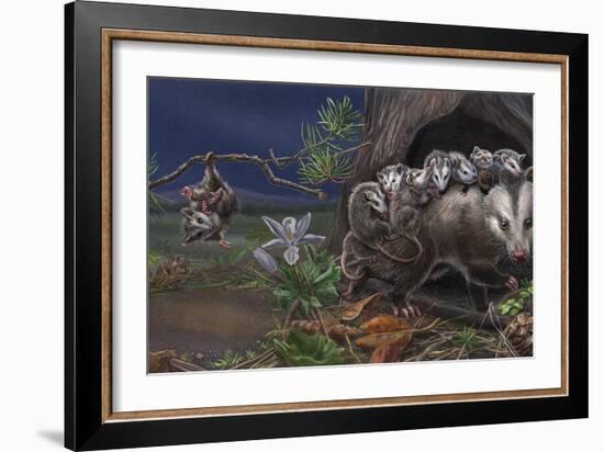 Baby On Board Spread 10 Opossum-Cathy Morrison Illustrates-Framed Giclee Print