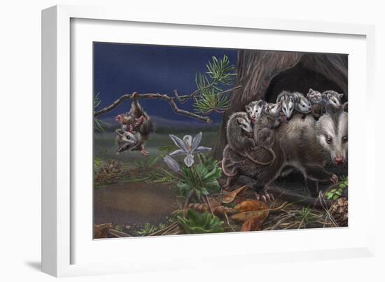 Baby On Board Spread 10 Opossum-Cathy Morrison Illustrates-Framed Giclee Print