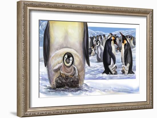 Baby On Board Spread 22 Penguins-Cathy Morrison Illustrates-Framed Giclee Print