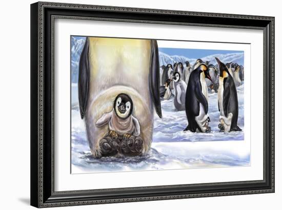 Baby On Board Spread 22 Penguins-Cathy Morrison Illustrates-Framed Giclee Print