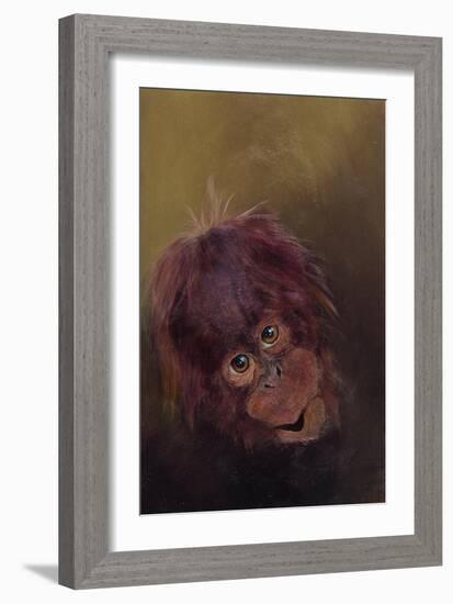 Baby orang-utan 2, 2010-Odile Kidd-Framed Giclee Print