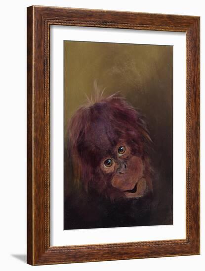 Baby orang-utan 2, 2010-Odile Kidd-Framed Giclee Print