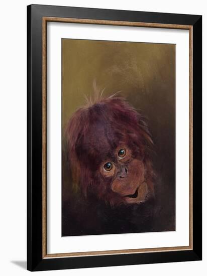 Baby orang-utan 2, 2010-Odile Kidd-Framed Giclee Print